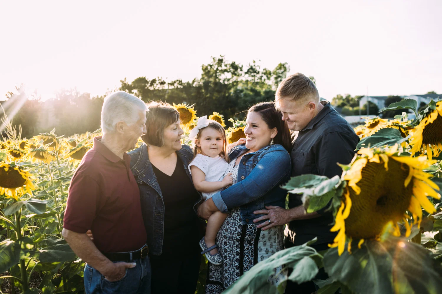 Sunflower Fields and Photography Mini Sessions Brit's Garden Acres