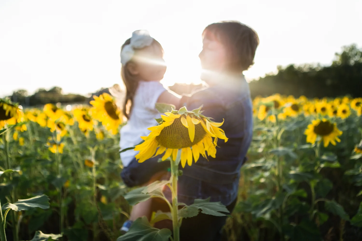 Sunflower Fields and Photography Mini Sessions Brit's Garden Acres