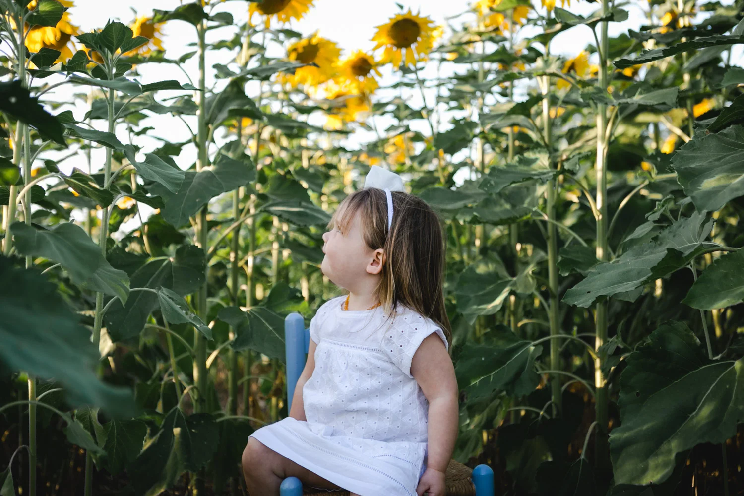Sunflower Fields and Photography Mini Sessions Brit's Garden Acres
