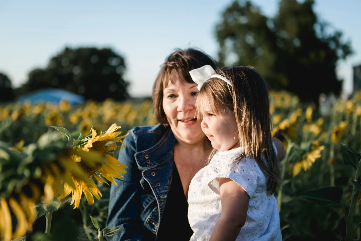 Sunflower Fields and Photography Mini Sessions Brit's Garden Acres
