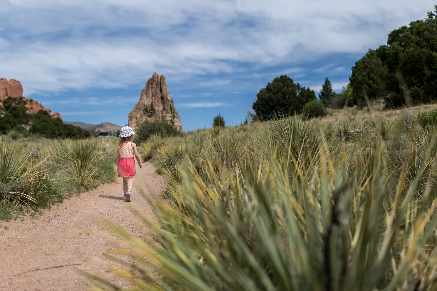 Captured by Best Documentary Family Photographer, Renee McDaniel of Renee McDaniel Photography in Manhattan Kansas. Photographed at Garden of the Gods, Colorado Springs, Colorado.