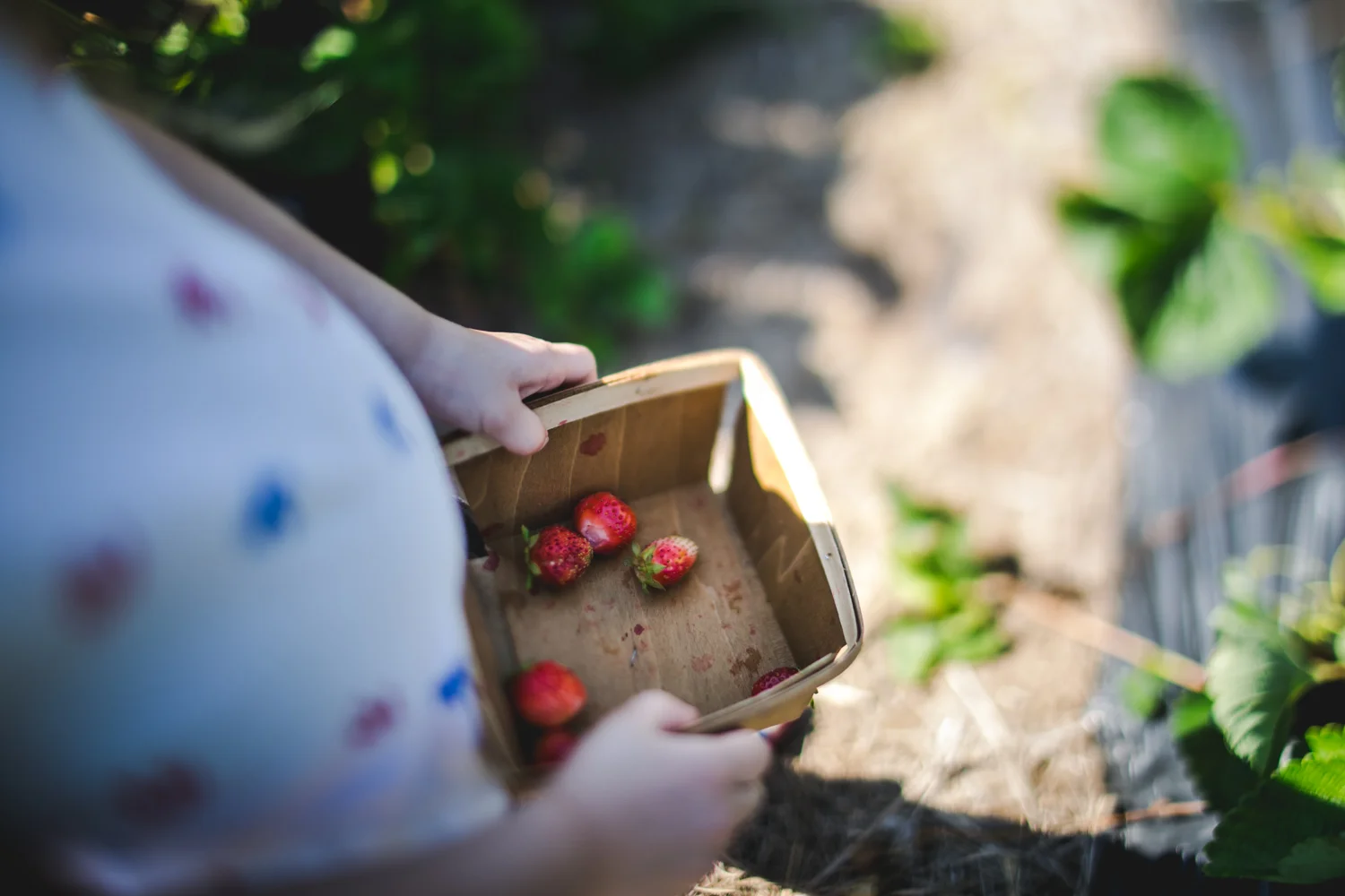 Captured by Best Documentary Family Photographer, Renee McDaniel of Renee McDaniel Photography in Manhattan Kansas. Photographed at Britt’s Garden Acres, Manhattan Kansas.