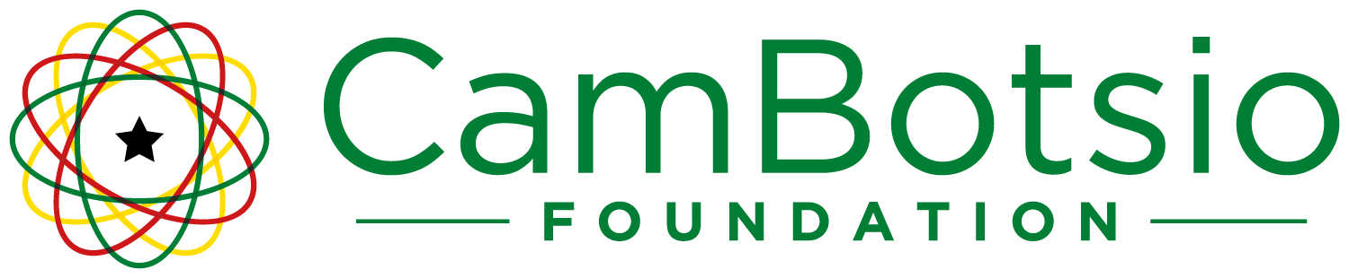CamBotsio Foundation