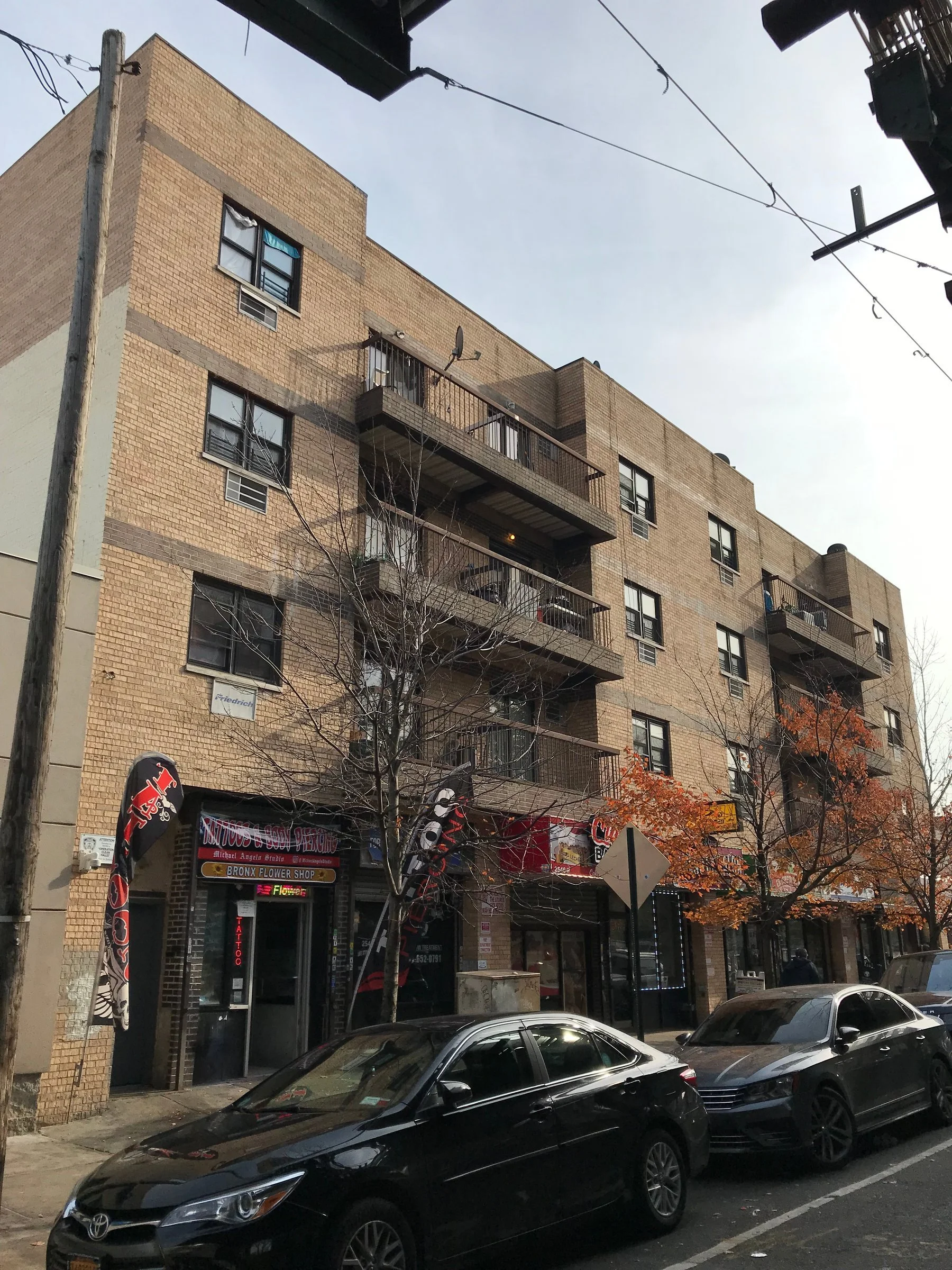 Alpha Realty Bronx Multifamily — Alpha Realty NY Investment Sales