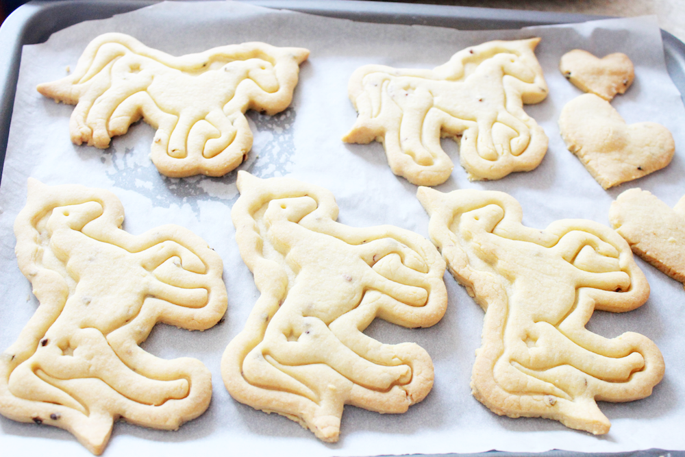 biscuit 3 copy.png