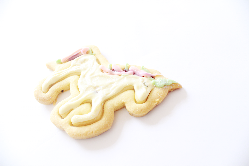 biscuit 14 copy.png