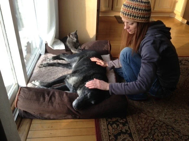 Reiki dog.jpg