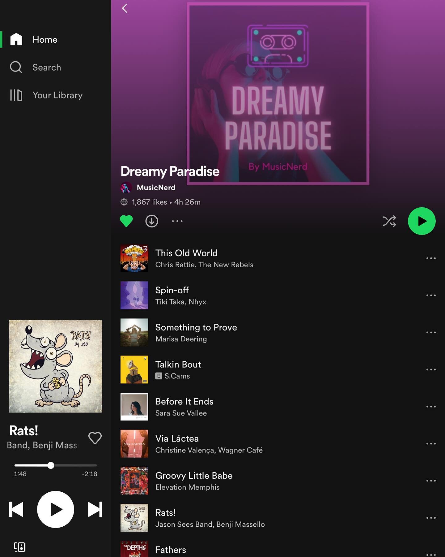 #thankyou @music_nerd_  for including our latest song Rats! In your &ldquo;Dreamy Paradise&rdquo; #spotifyplaylist 

#jasonseesband #spotify #playlists #indiemusician