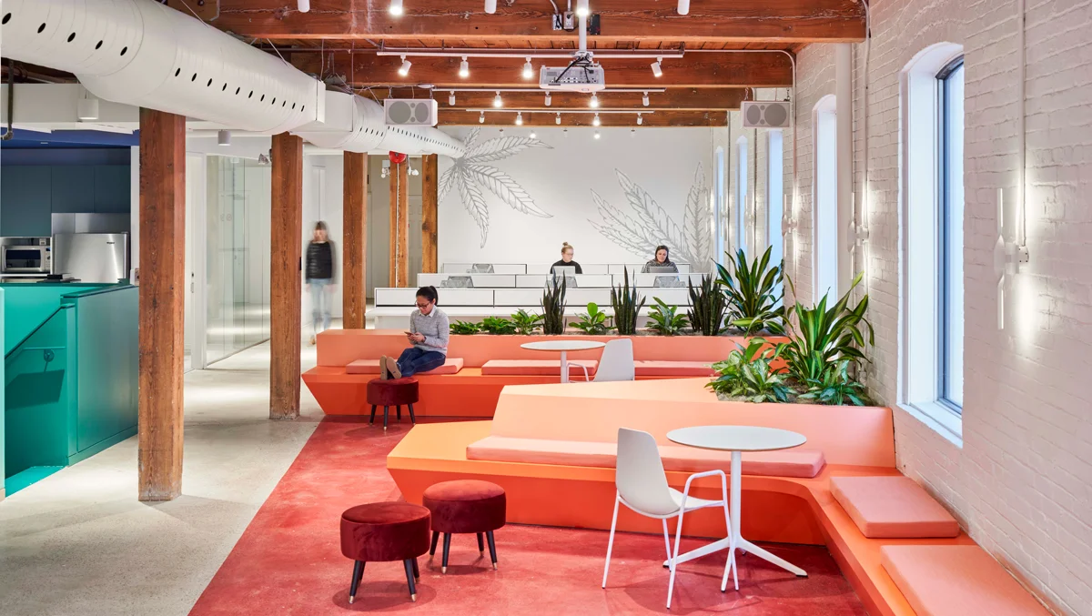 Lift&Co A fresh look at Cannabis