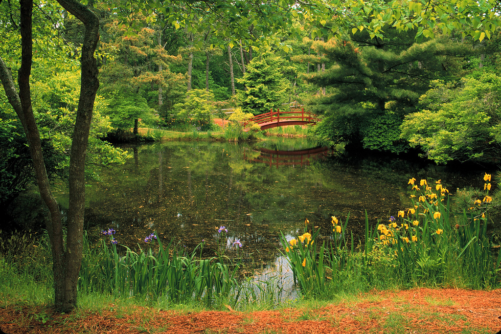 Garden Hike on Chappaquiddick Island