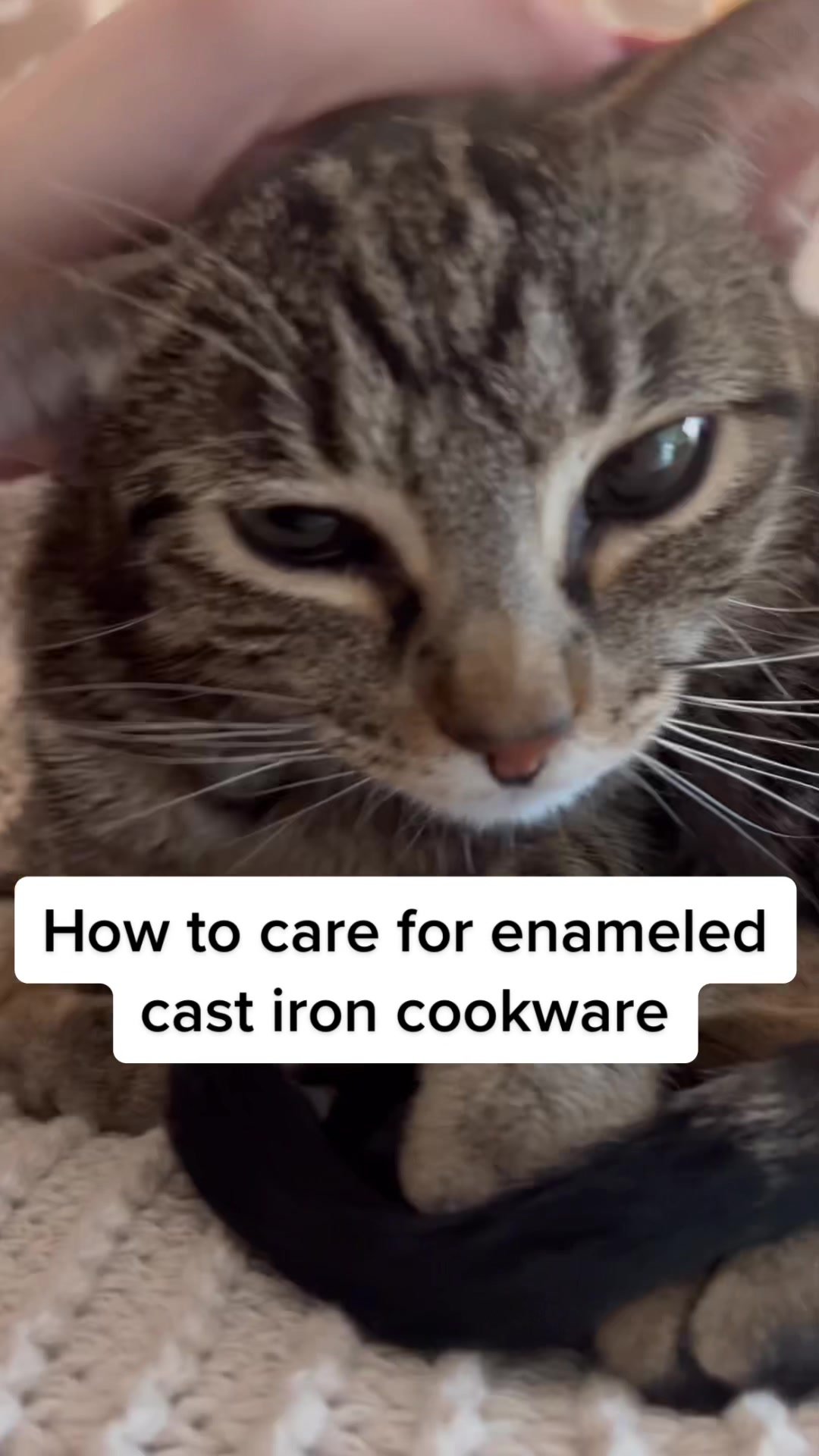 Lodge Cast Iron x Neat Caroline