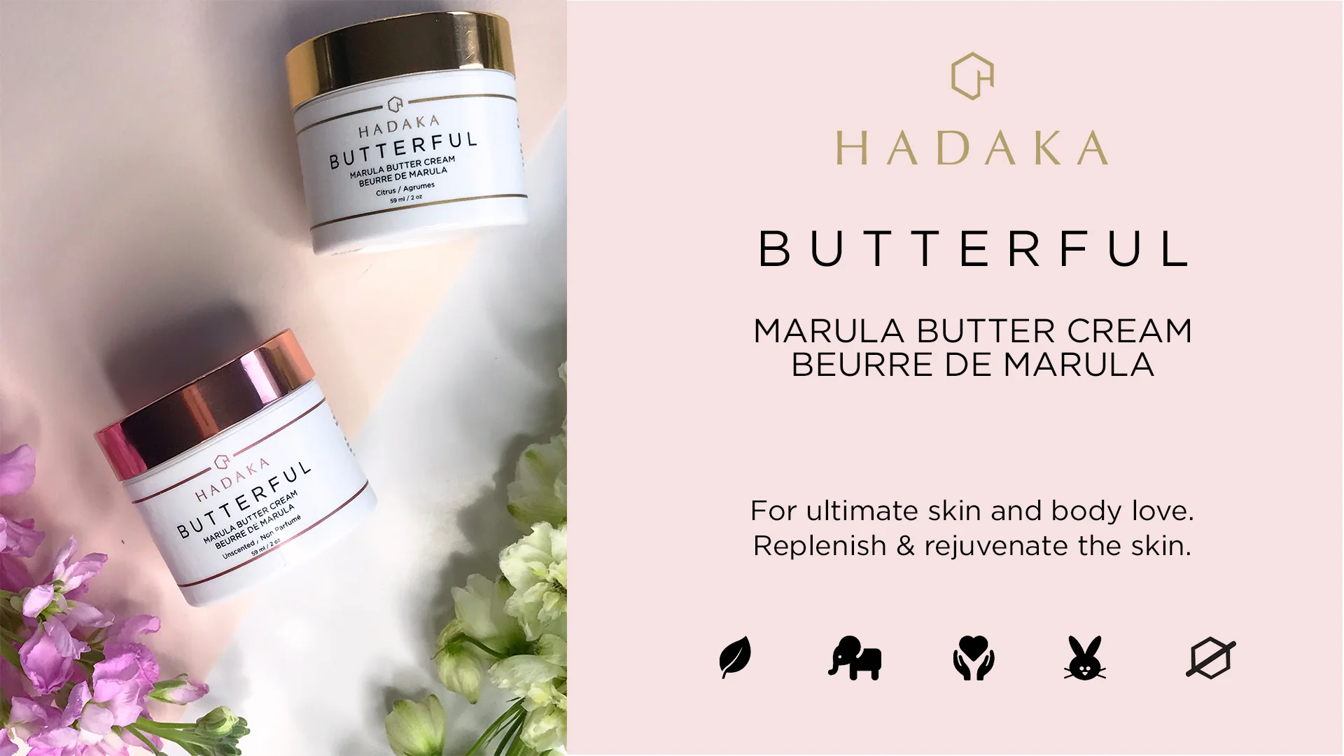 Hadaka Butterful Cover Video.jpg
