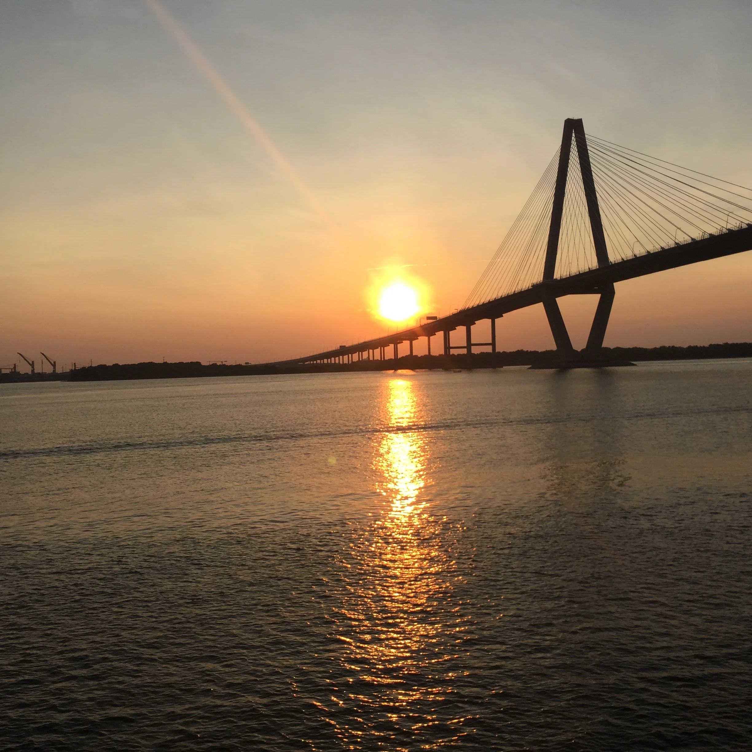 IMG_7706.jpeg