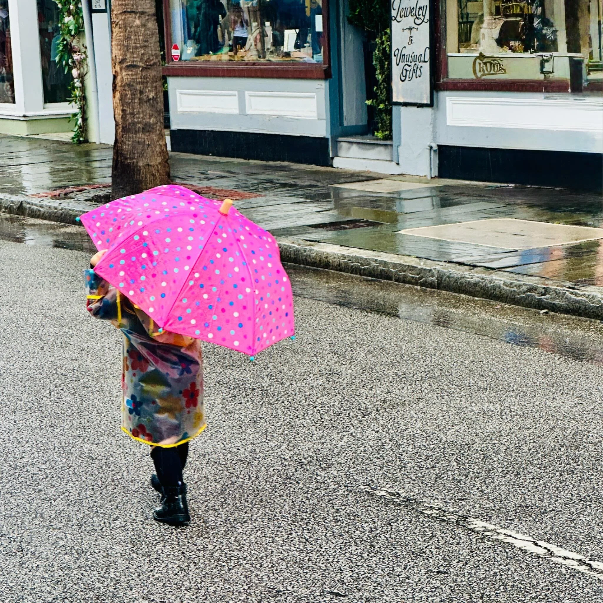 Sometimes the best preparations can&rsquo;t keep us dry. Sorry we needed to cancel 2nd Sunday, folks. See you November 9th!