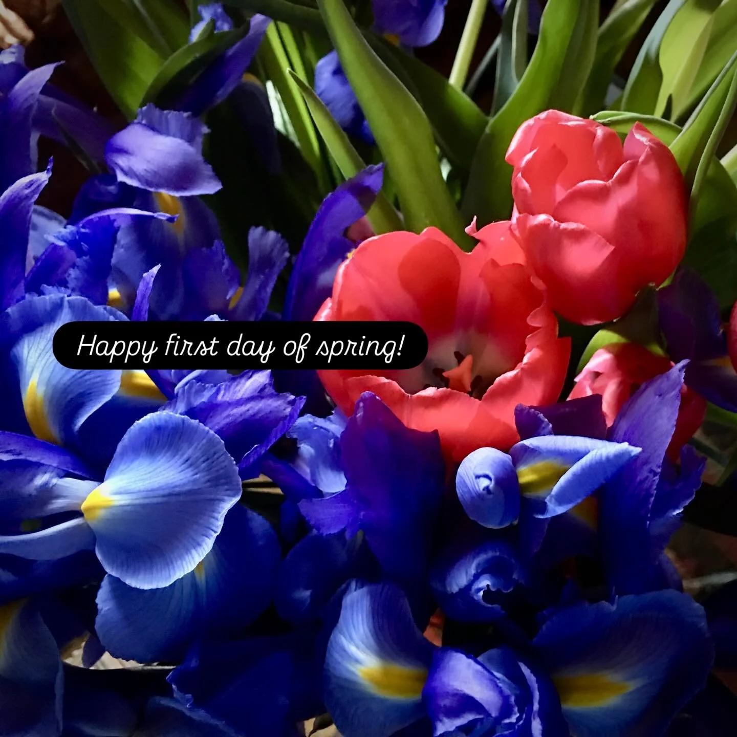 Grateful to be spending in in the Lowcountry.