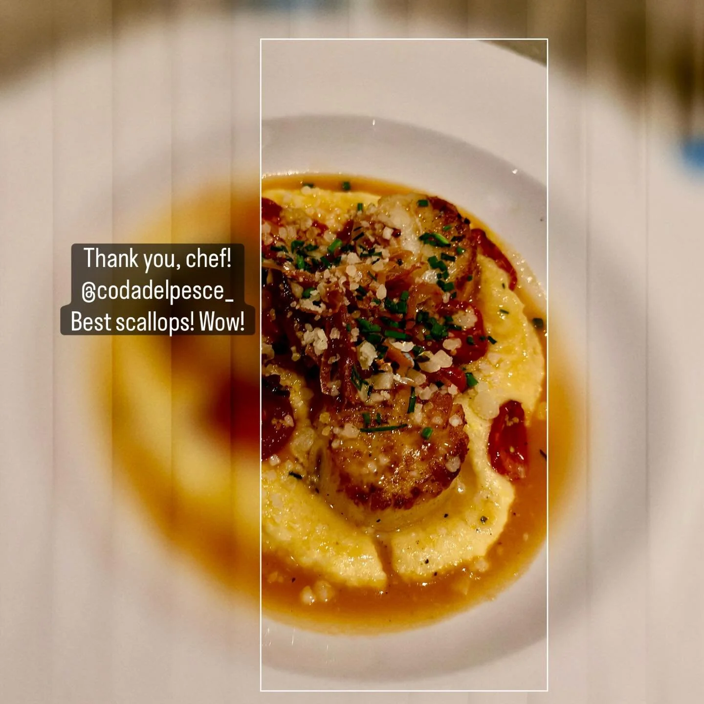 Killer scallops dish!