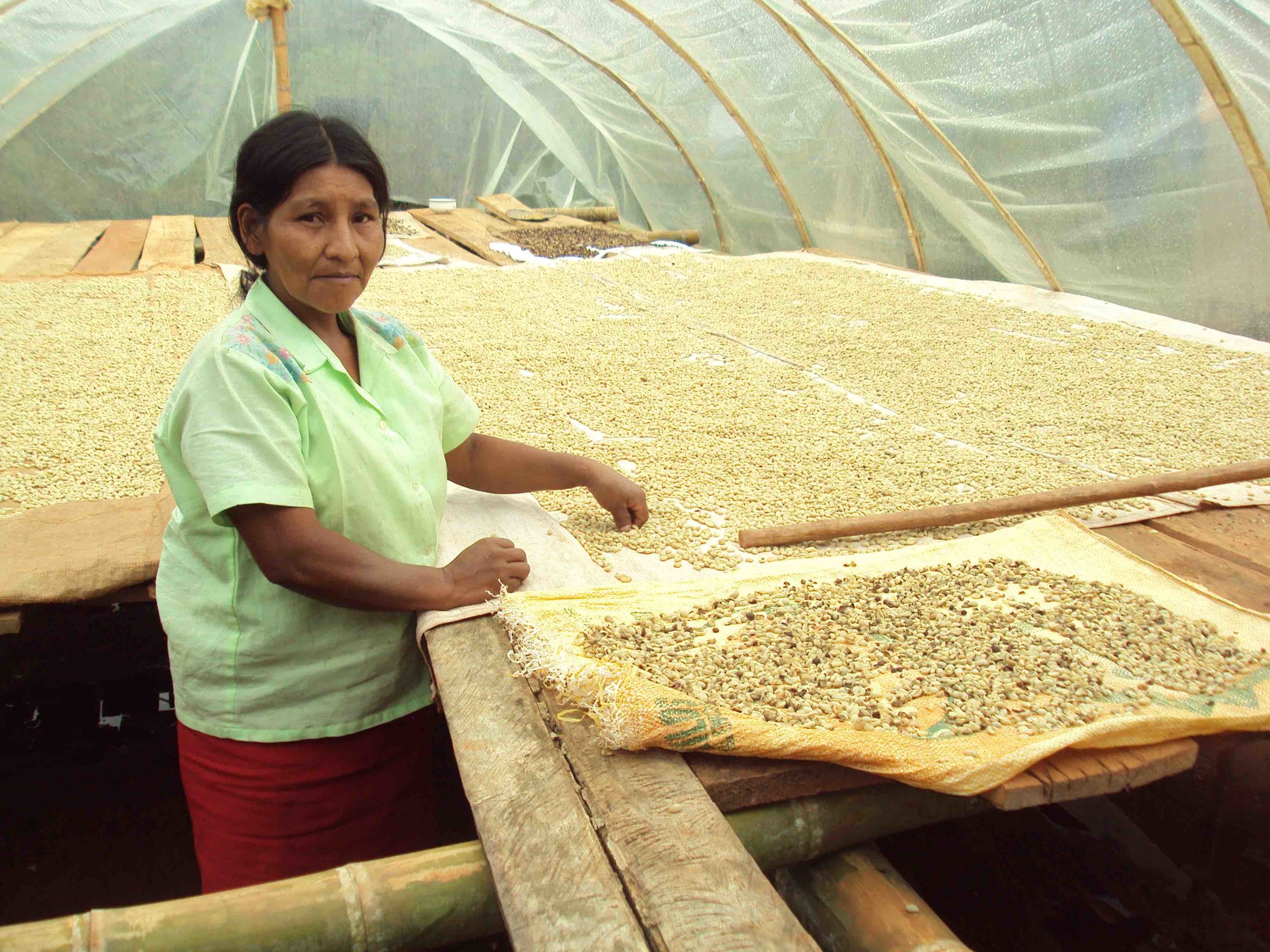 Col -Coffee drying.jpg