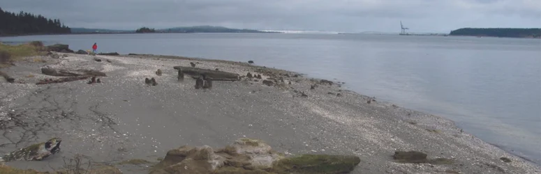 Irondale Beach Park New Year’s Day 