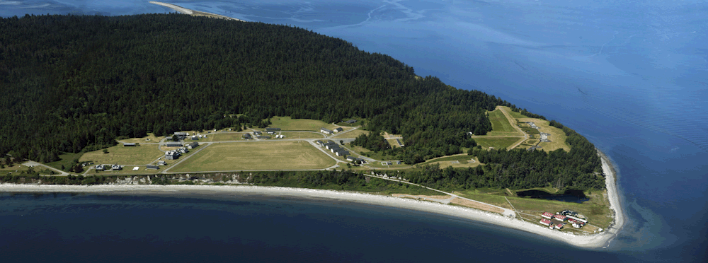 Birding in the Forest at Fort Flagler State Park