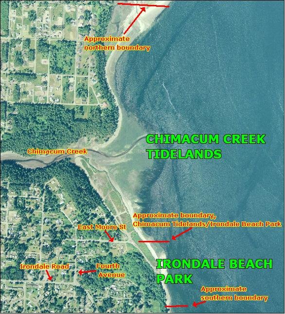 New Year’s Bird Walk at Irondale Beach