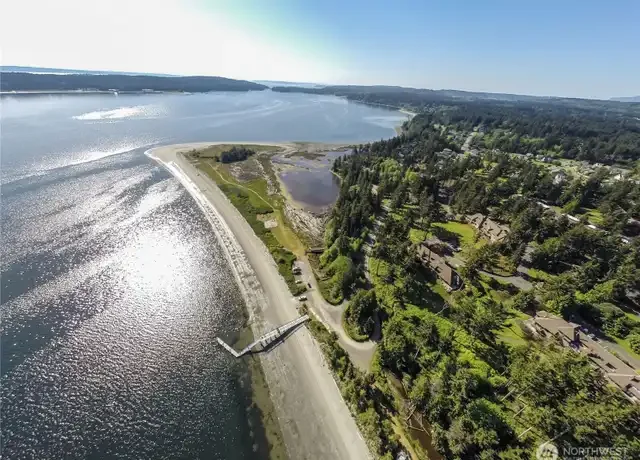 Kala Point Beach Bird Walk