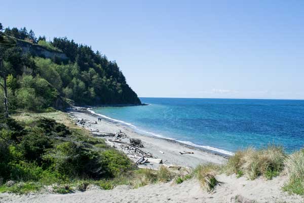 Third Saturday Bird Walk at Fort Worden State Park