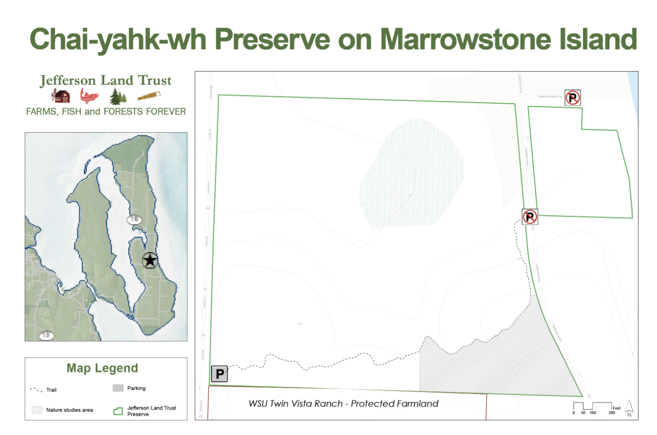 Youth Birders at Marrowstone Preserve