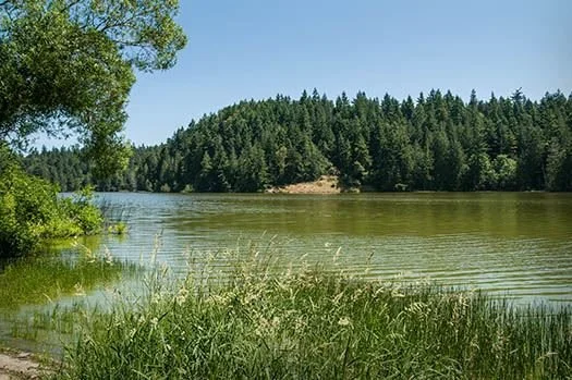 Youth Birders at Anderson Lake State Park
