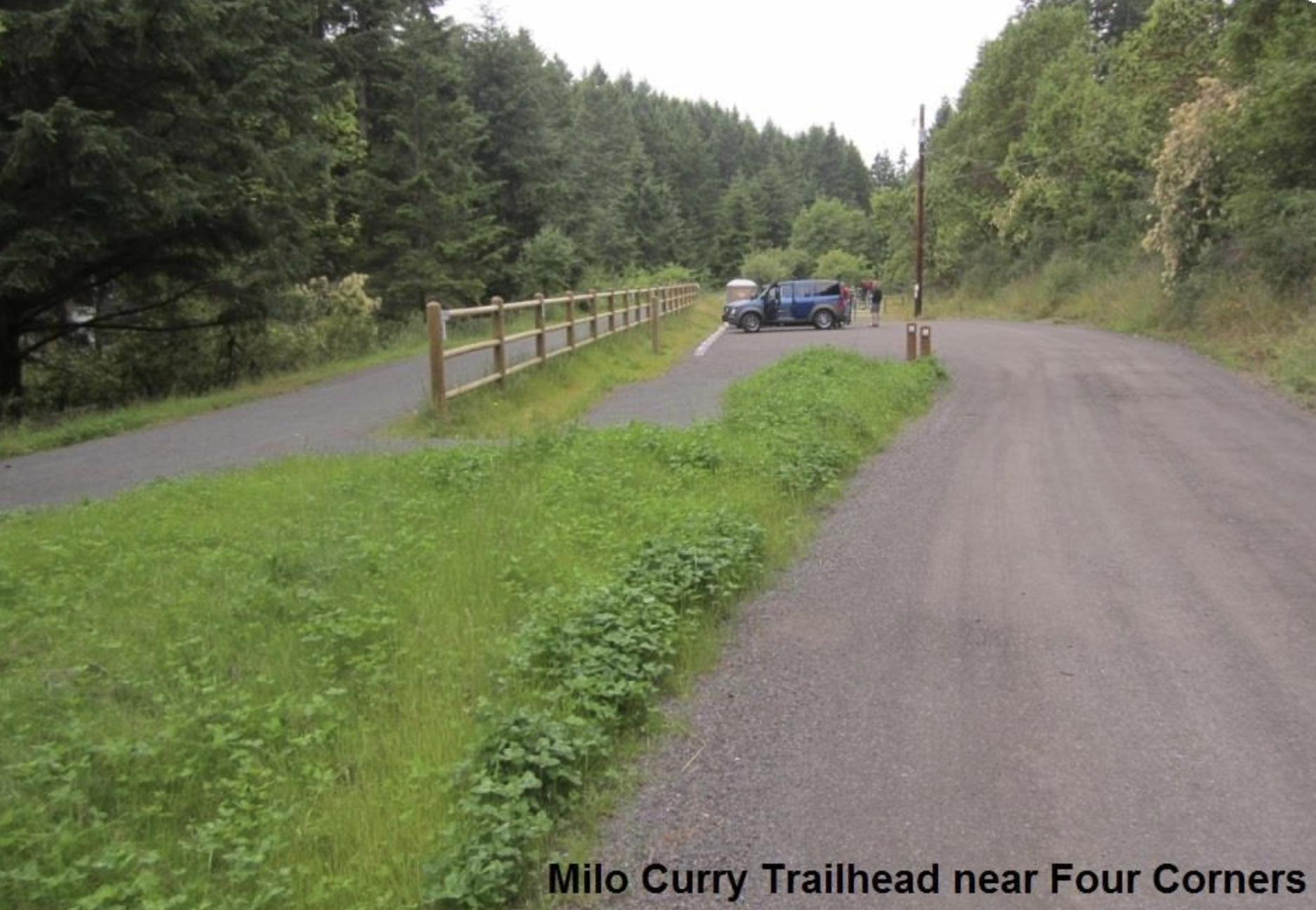 Birding with Bev on Olympic Discovery Trail