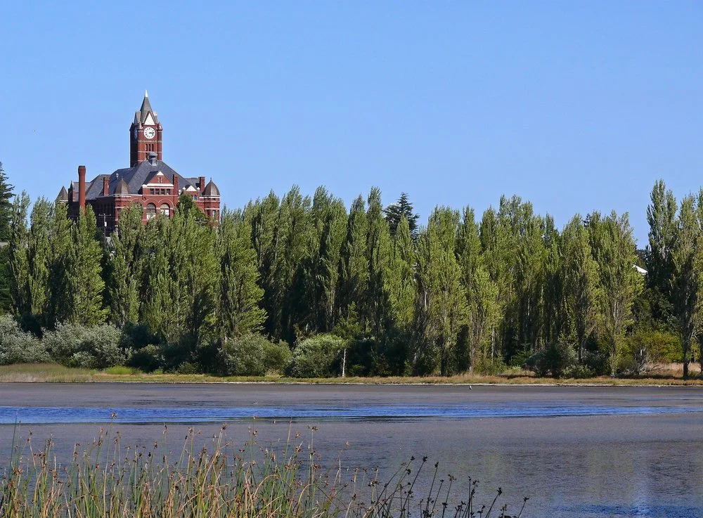 Fall Waterfowl Walk at Kah Tai Lagoon Nature Park