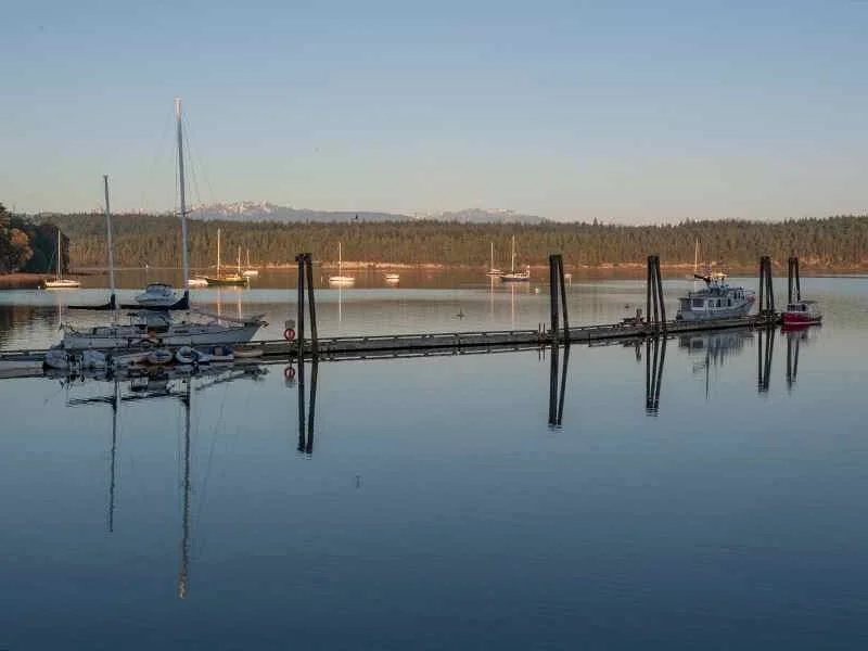 Mystery Bay State Park Birding Walk