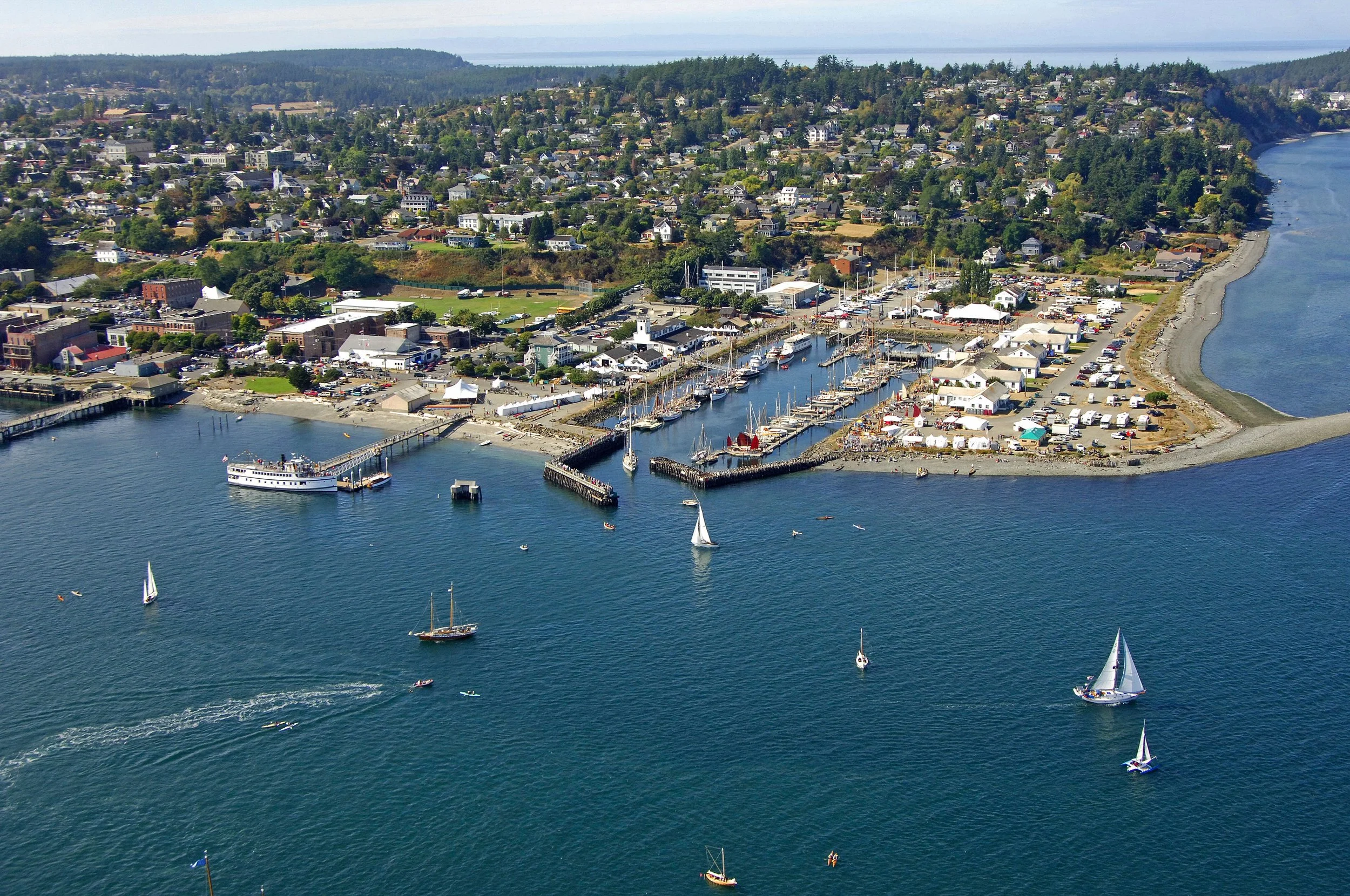 Wooden Boat Festival: The Seabirds of Port Townsend, Where the Strait Meets the Sound