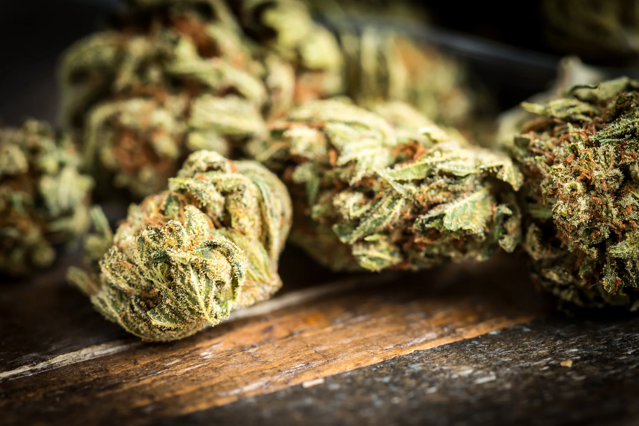 Bureau of Marijuana Control Medical Cannabis Regulation