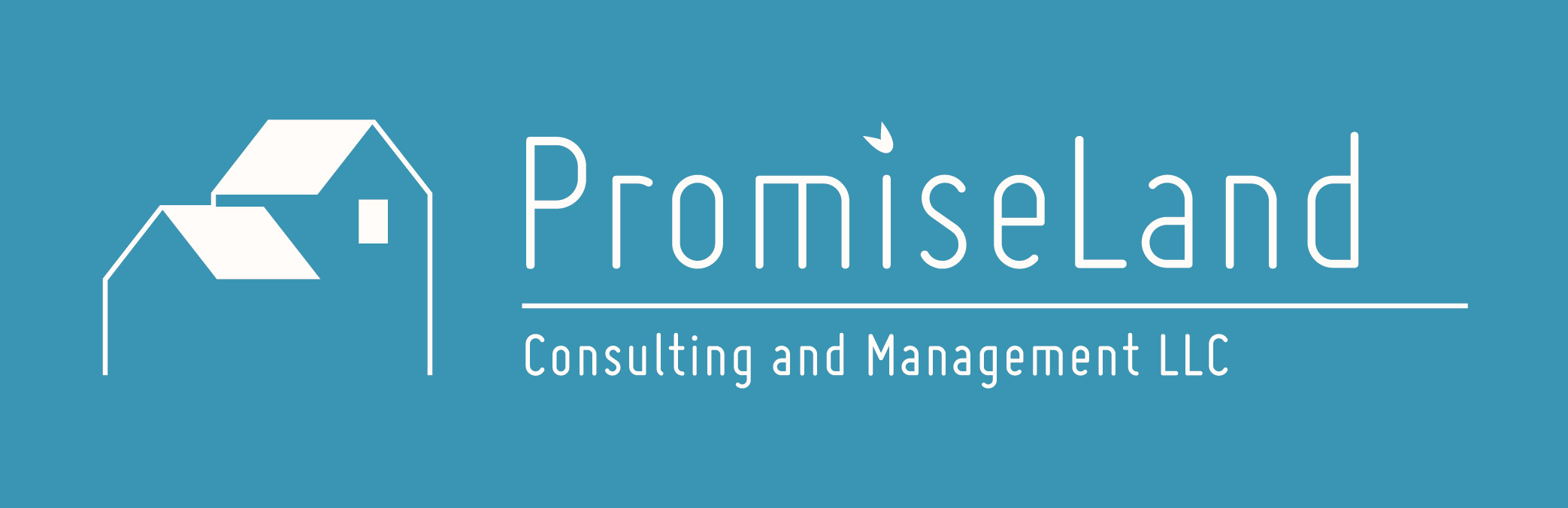 PromiseLand Consulting and Management LLC