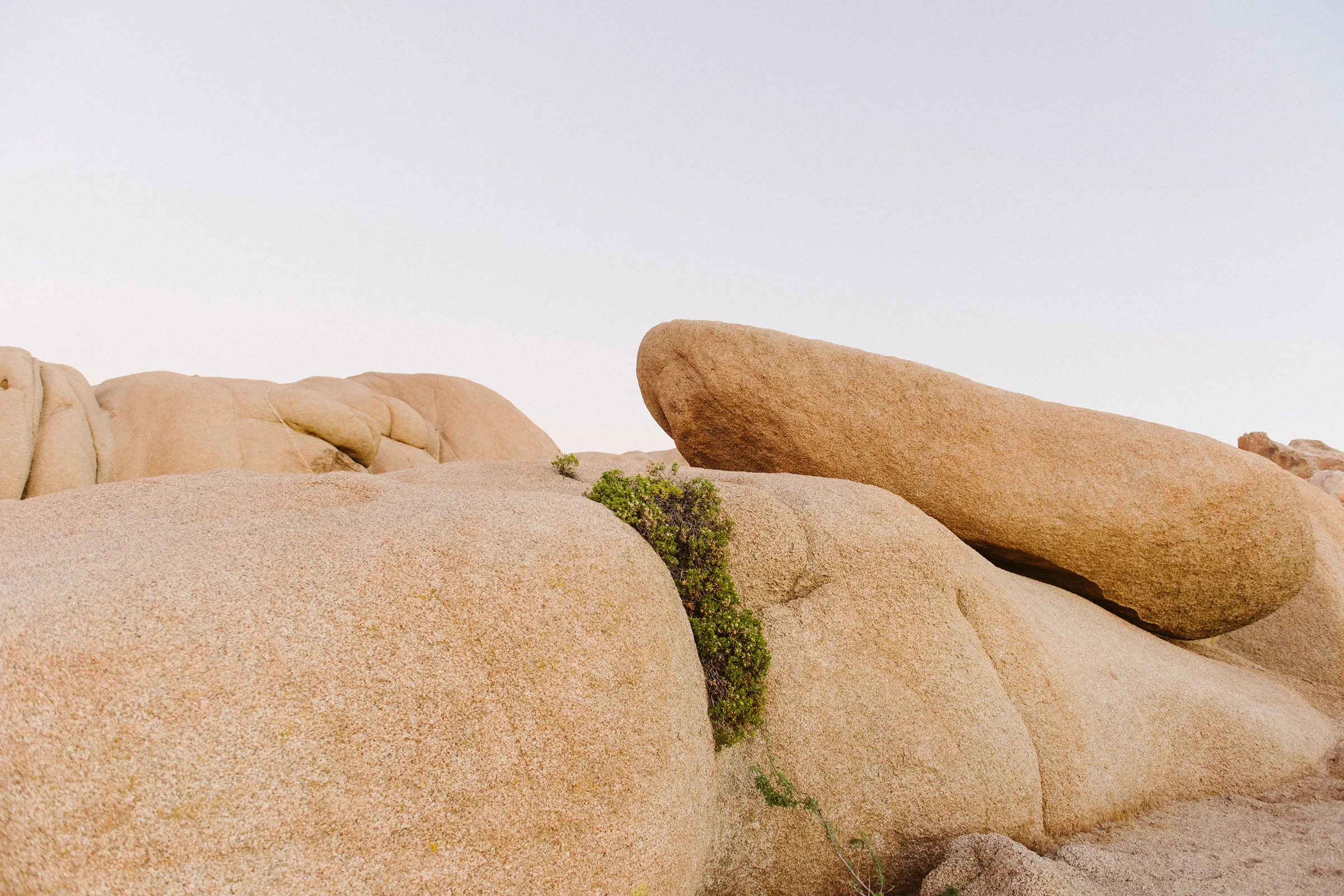 full_clif-joshuatree-rock-1.jpg