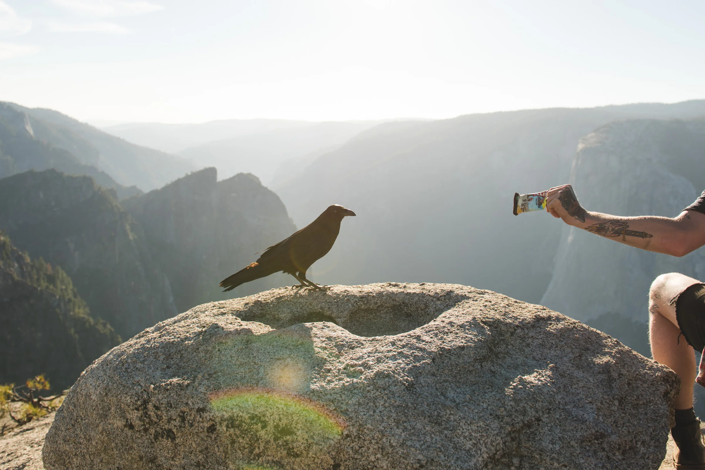 full_clif-yosemite-raven-3.jpg