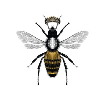 www png (4) BEE ONLY.png