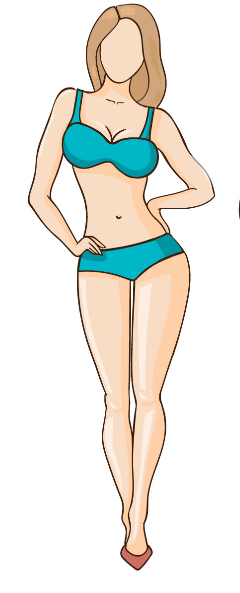 female-hourglass-shape.png