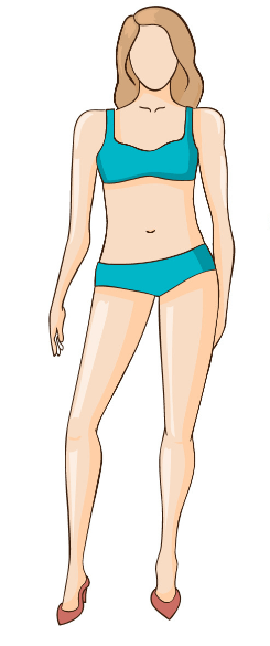 female-rectangle-shape.png