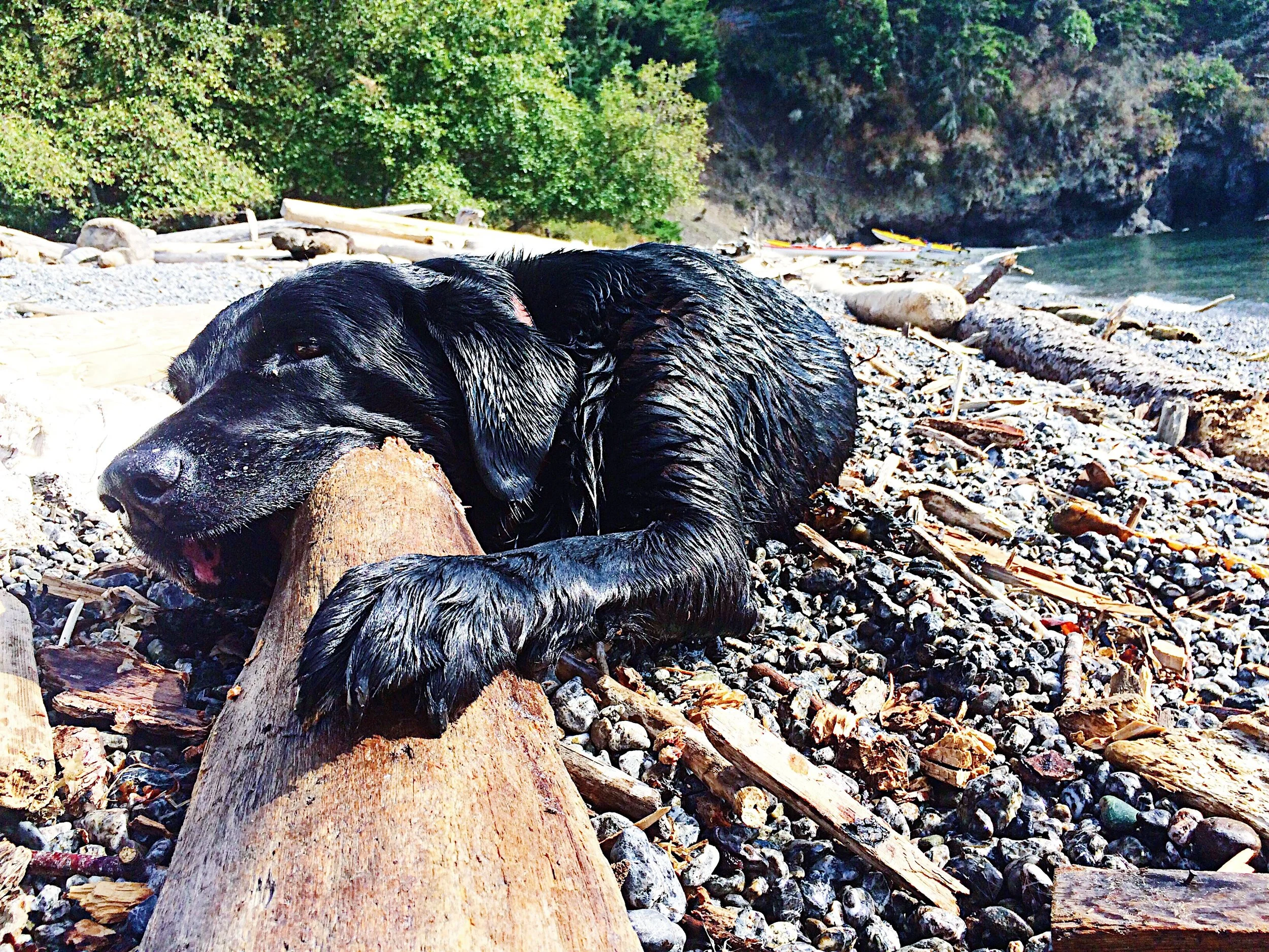  Orcas Island, Washington  