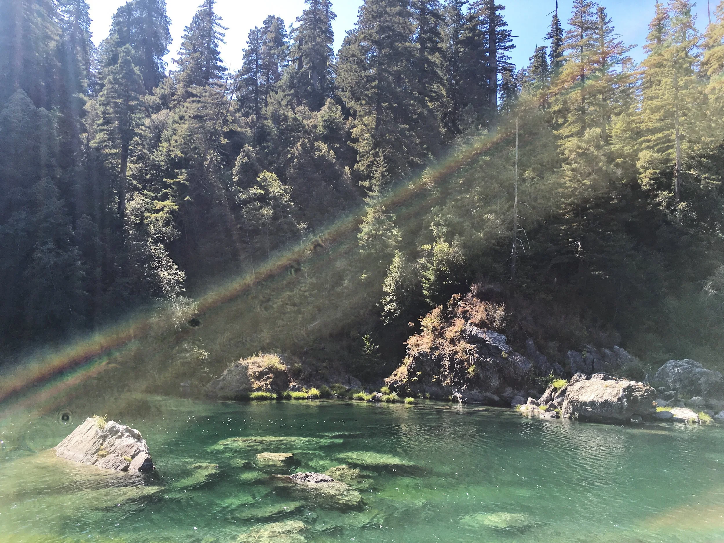  Jedediah Smith State Park, California  
