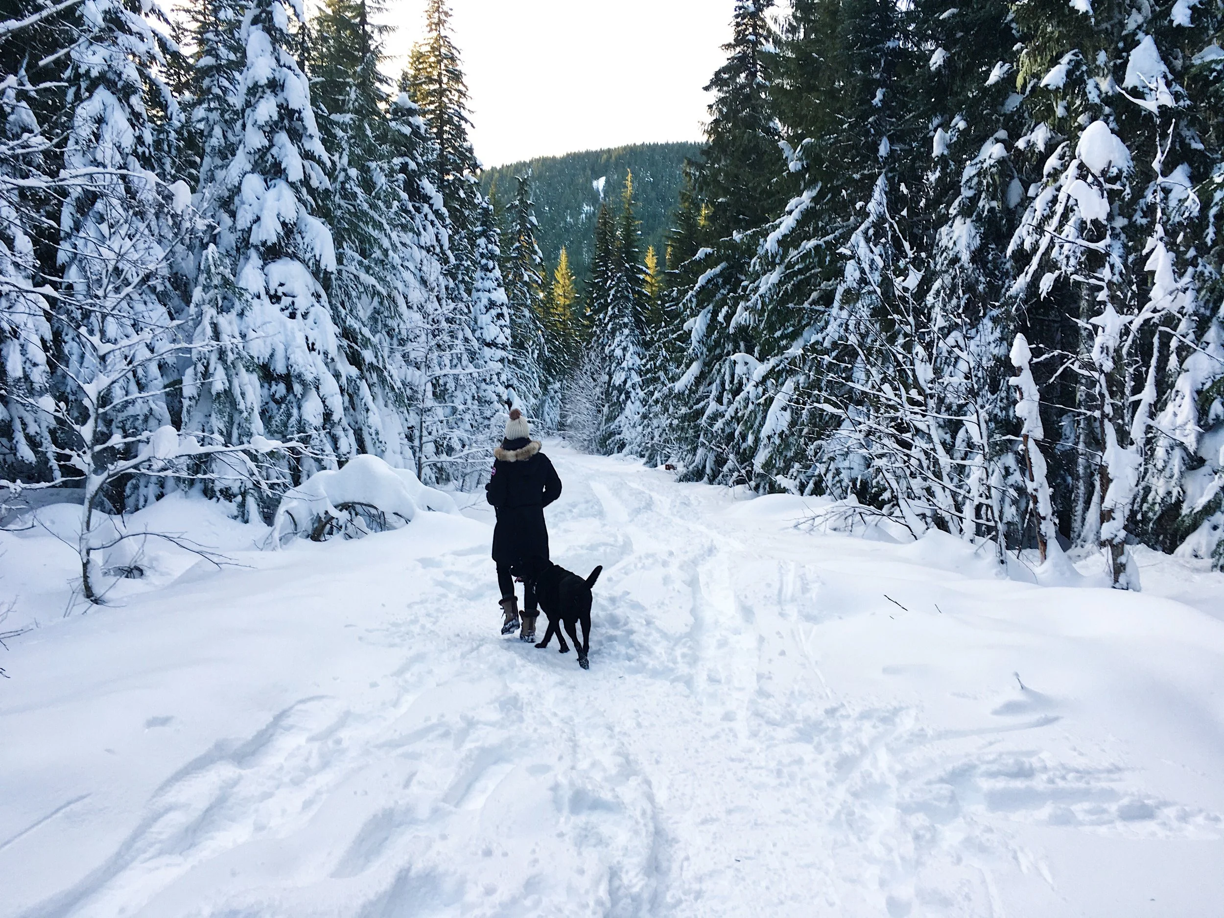  Mt. Hood National Forest, Oregon 