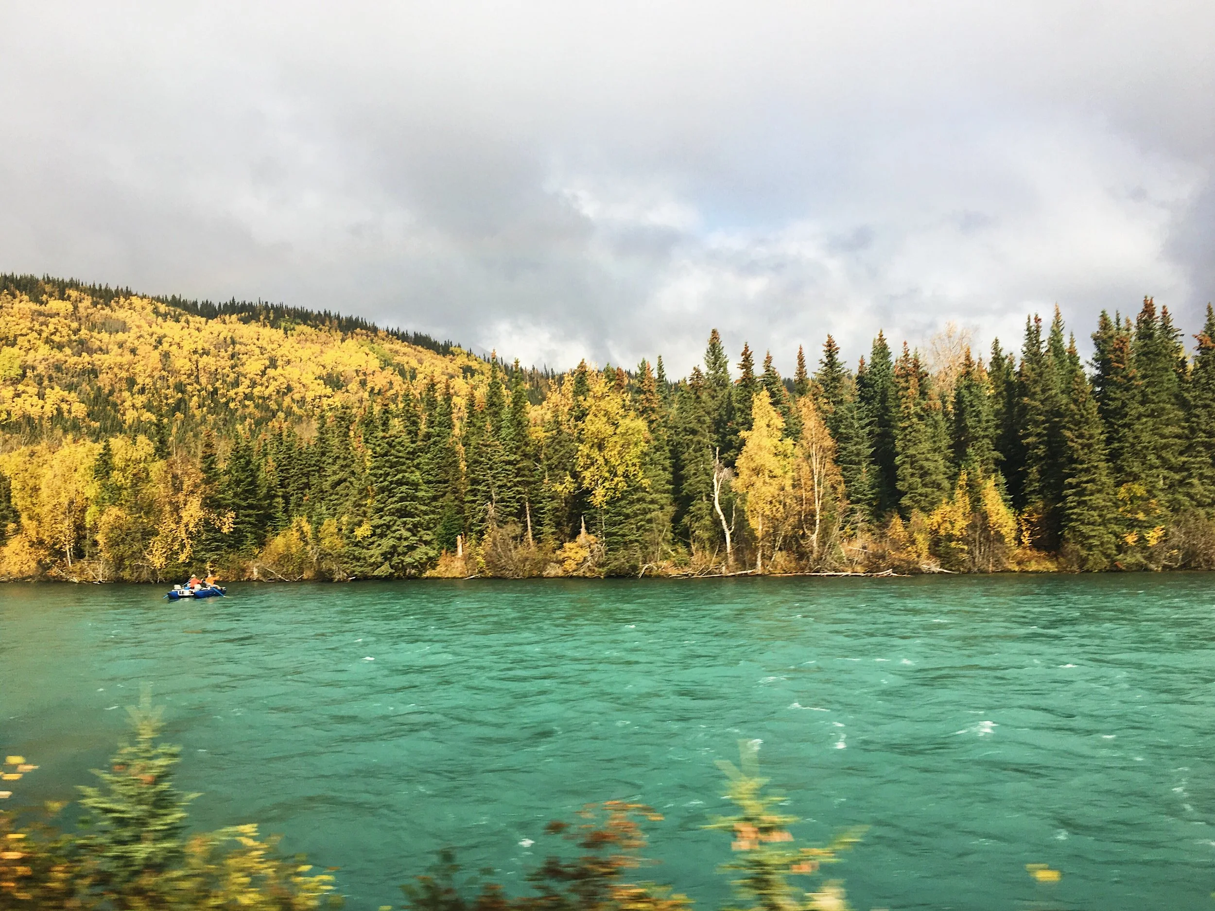  Kenai Peninsula, Alaska  
