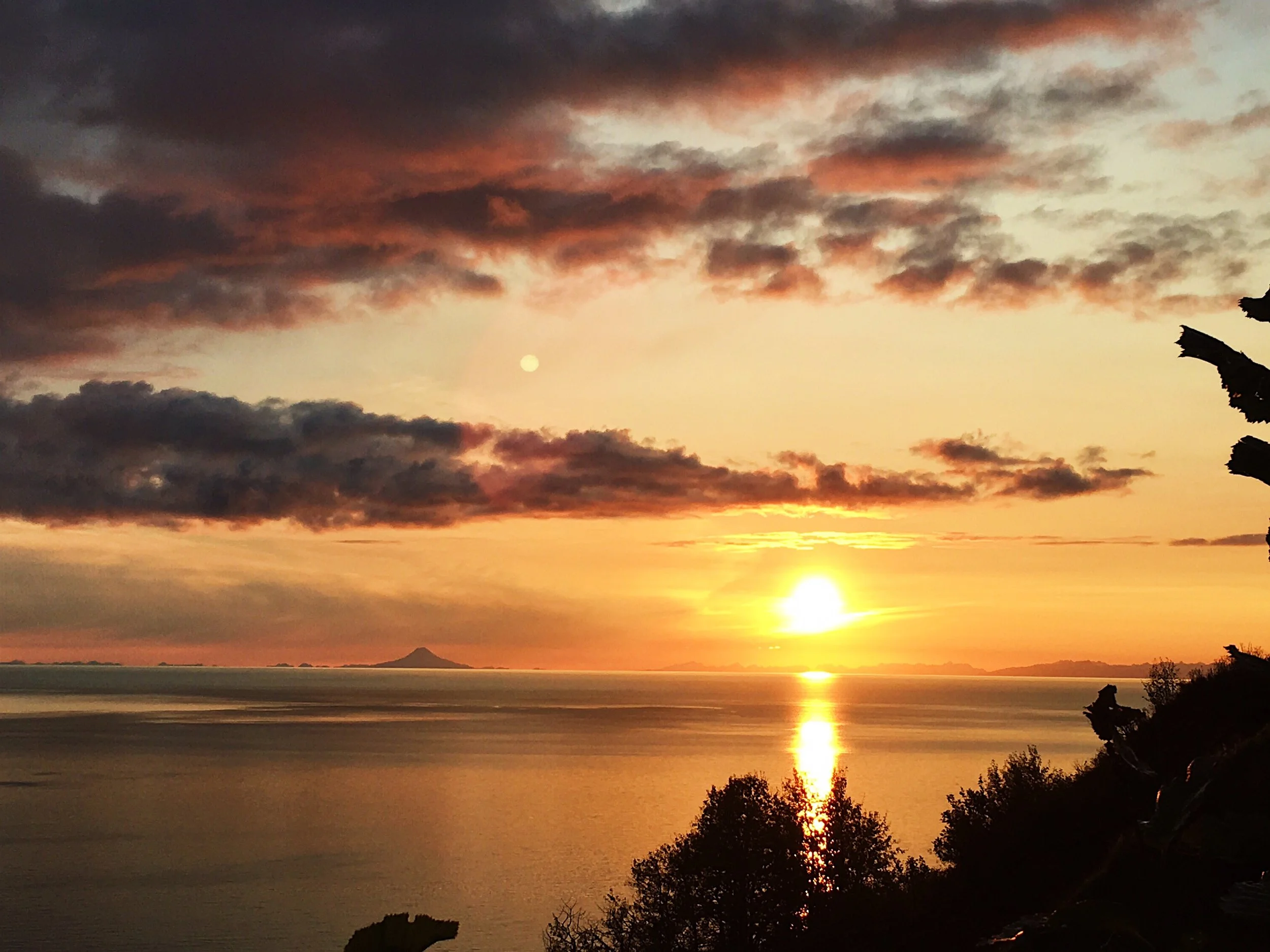  Homer, Alaska  