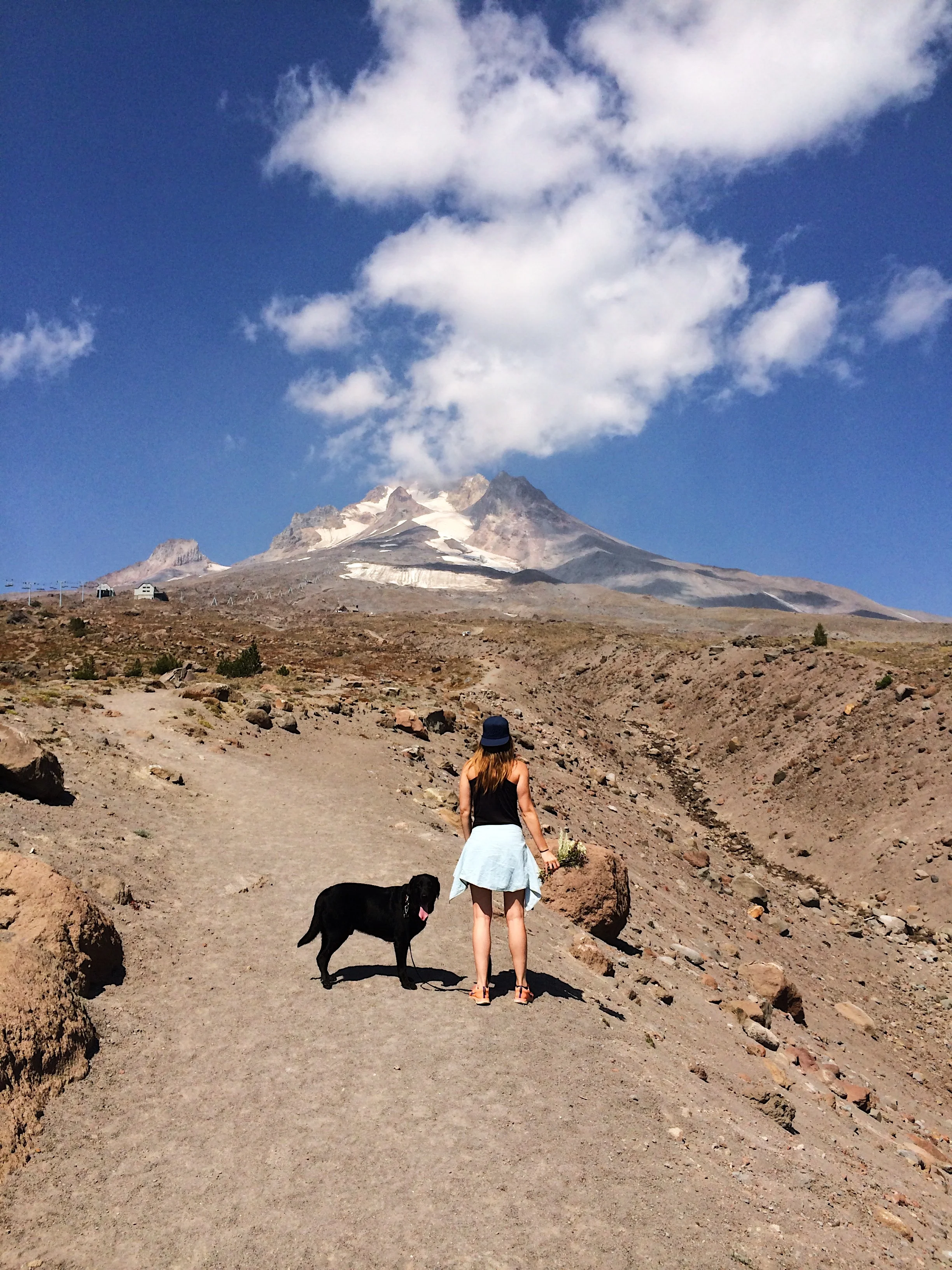  Timberline, Mt. Hood, Oregon 