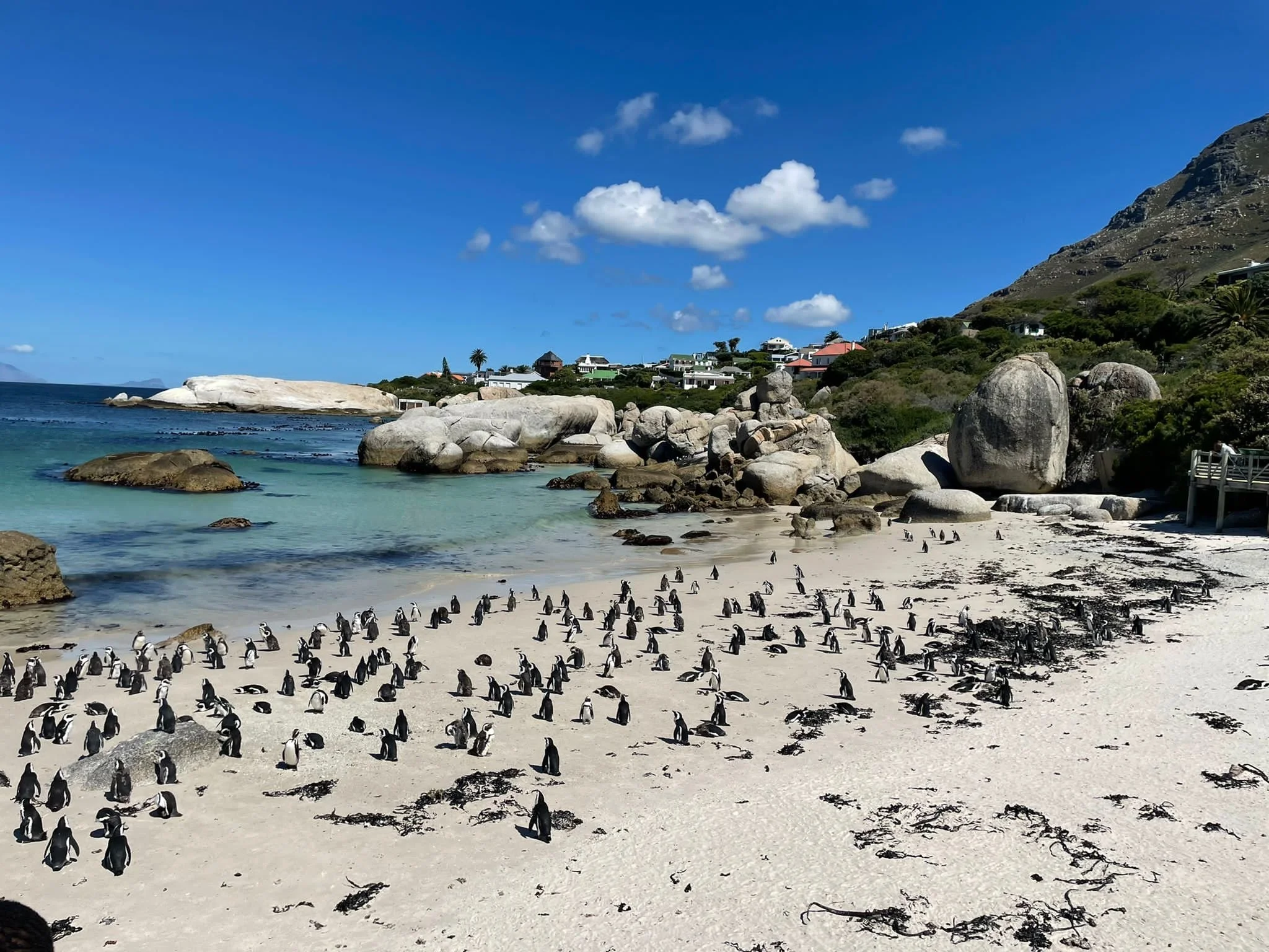  Simon’s Town, South Africa 