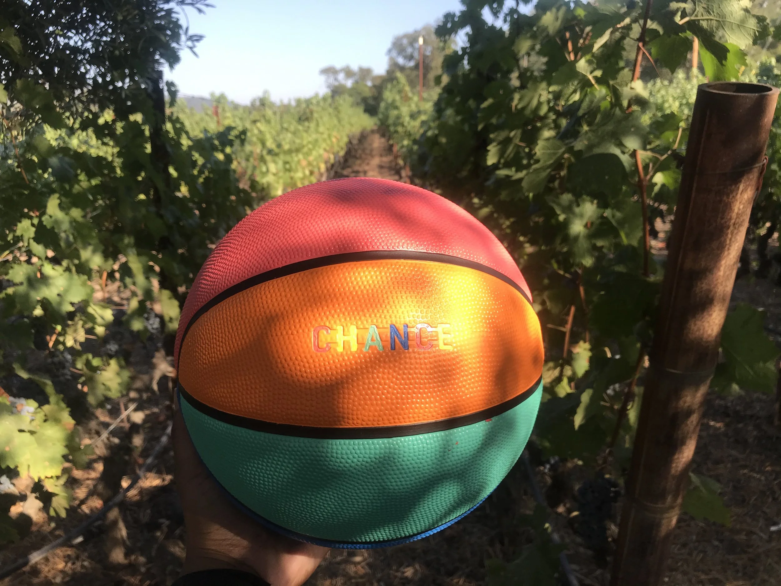 buckets and barrels 1.jpg