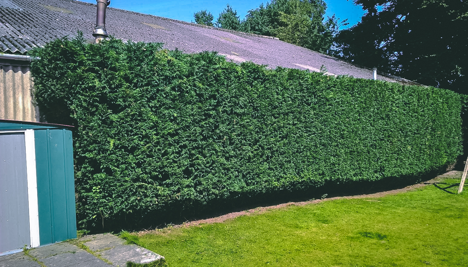 Aberdeen Hedge Trimming