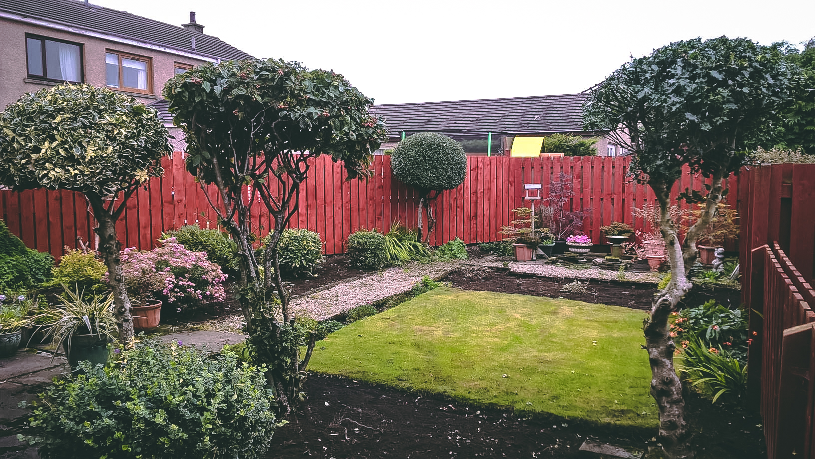 Pruning and garden tidy up