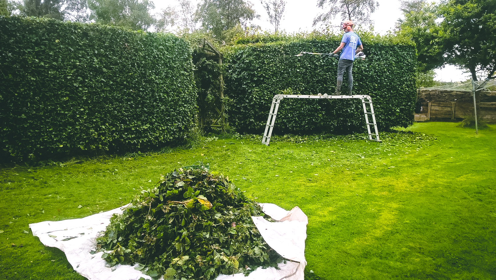 Aberdeen Pruning & Hedge Trimming
